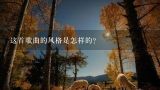 这首歌曲的风格是怎样的？