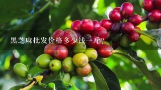 黑芝麻批发价格多少钱一斤？