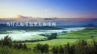 为什么咖啡包里有咖啡阀