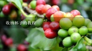 收纳杯子的教程