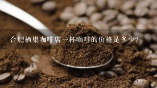 合肥栖巢咖啡店一杯咖啡的价格是多少？