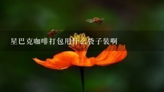 星巴克咖啡打包用什么袋子装啊