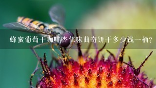 蜂蜜葡萄干咖啡杏仁味曲奇饼干多少钱一桶?