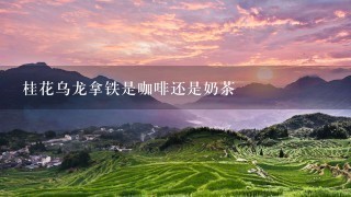 桂花乌龙拿铁是咖啡还是奶茶