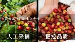 肯德基拿铁咖啡多少钱