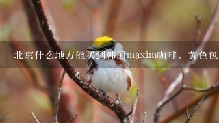 北京什么地方能买到韩国maxim咖啡，黄色包的那种？？？？