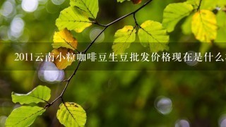 2011云南小粒咖啡豆生豆批发价格现在是什么样的呢？