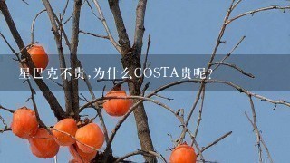 星巴克不贵,为什么COSTA贵呢？