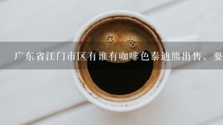 广东省江门市区有谁有咖啡色泰迪熊出售，要纯种的，价格不要太贵哦。