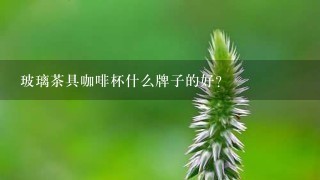 玻璃茶具咖啡杯什么牌子的好?