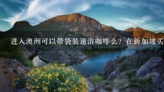 进入澳洲可以带袋装速溶咖啡么？在新加坡买了好几袋super三合一速溶咖啡，想带到澳洲，不知道可不可以。