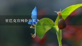 星巴克官网价目表