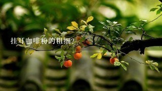 挂耳咖啡粉的粗细？