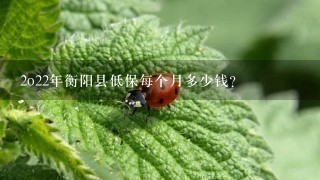 2o22年衡阳县低保每个月多少钱?