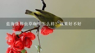 蓝海康程虫草咖啡怎么样？效果好不好