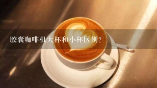 胶囊咖啡机大杯和小杯区别？