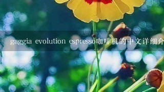 gaggia evolution espresso咖啡机的中文详细介绍和