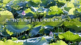 景兰白芸豆咖啡真的是农科院出品吗