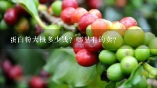 蛋白粉大概多少钱？哪里有的卖？