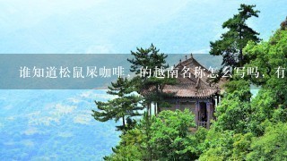 谁知道松鼠屎咖啡，的越南名称怎么写吗，有谁喝过越