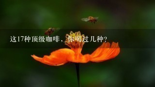 这17种顶级咖啡，你喝过几种？