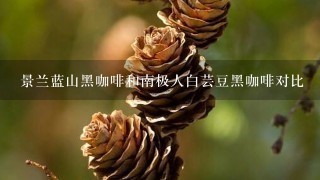 景兰蓝山黑咖啡和南极人白芸豆黑咖啡对比