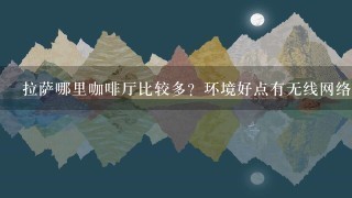 拉萨哪里咖啡厅比较多？环境好点有无线网络的