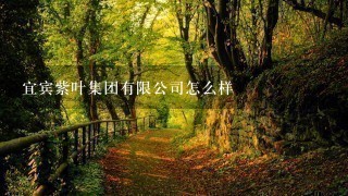 宜宾紫叶集团有限公司怎么样