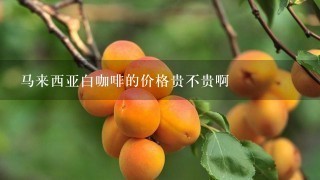 马来西亚白咖啡的价格贵不贵啊