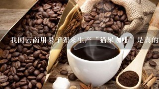 我国云南用果子狸来生产“猫屎咖啡”是真的吗？