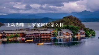 上岛咖啡 世家星城店怎么样