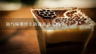 防气味带什么防毒面具及图片