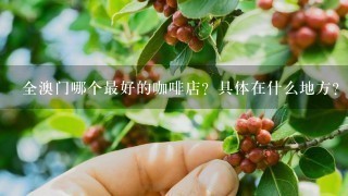 全澳门哪个最好的咖啡店？具体在什么地方？品牌是哪个最好？谢谢！