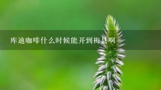 库迪咖啡什么时候能开到梅县啊