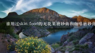 谁用过skin food的无花果磨砂膏和咖啡磨砂膏呀