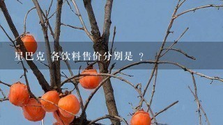 星巴克 各饮料售价分别是 ？