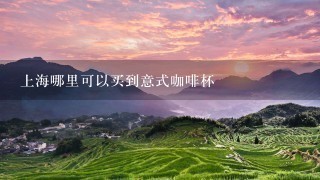 上海哪里可以买到意式咖啡杯