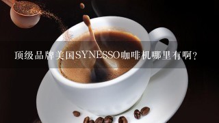 顶级品牌美国SYNESSO咖啡机哪里有啊？