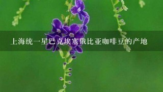 上海统一星巴克埃塞俄比亚咖啡豆的产地