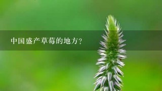 中国盛产草莓的地方？