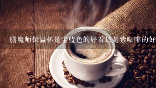 膳魔师保温杯是宝蓝色的好看还是紫咖啡的好看或者别的