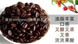 谁对wedgwood咖啡杯有了解