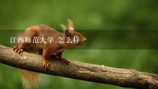 江西师范大学 怎么样