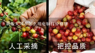 新版大风车怎么用电脑打价格牌