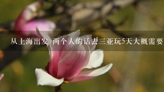 从上海出发 两个人的话去三亚玩5天大概需要多少钱啊 （加机票） 住三亚湾家庭旅馆好还是大东海的好