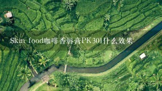 Skin food咖啡香唇膏PK301什么效果