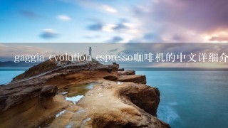 gaggia evolution espresso咖啡机的中文详细介绍和