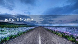 瑰夏咖啡什么档次