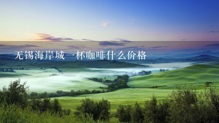 无锡海岸城一杯咖啡什么价格