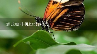 意式咖啡机bar数越大